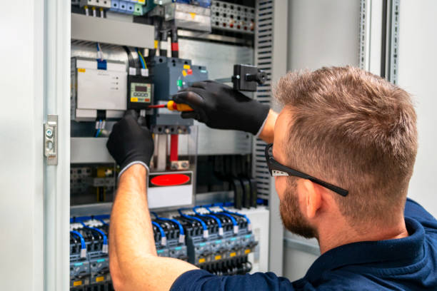Best Electric Panel Repair  in Shullsburg, WI